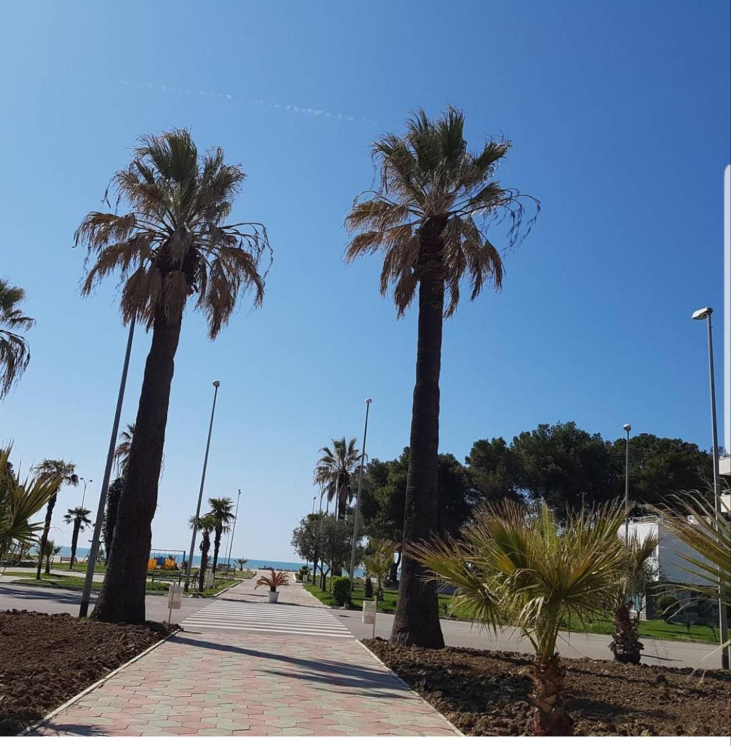 Amaris Apartments Durrës Zimmer foto